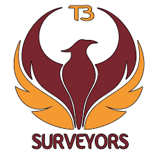surveyors client-logo